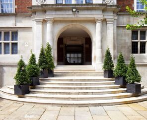 Wellington Hotel by Blue Orchid